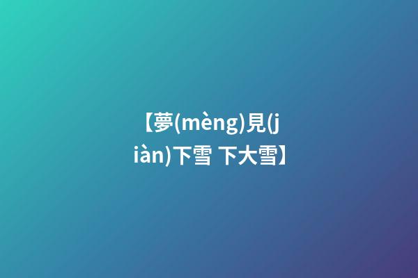 【夢(mèng)見(jiàn)下雪 下大雪】